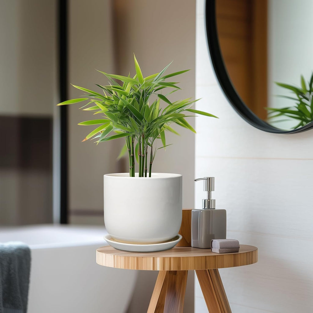 Ceramic Pot for Plants 7 Inch - Modern Round Indoor Outdoor Planter with Drainage Hole and Saucer, Home House Office