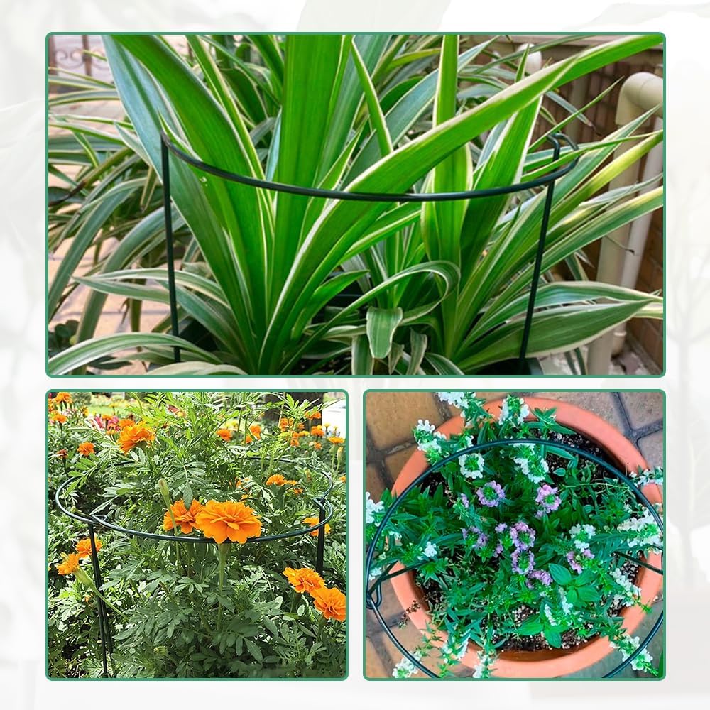 Plant Support Stakes, Garden Stakes Peony Cages and Supports, Plant Stakes and Supports Plant Supports for Outdoor