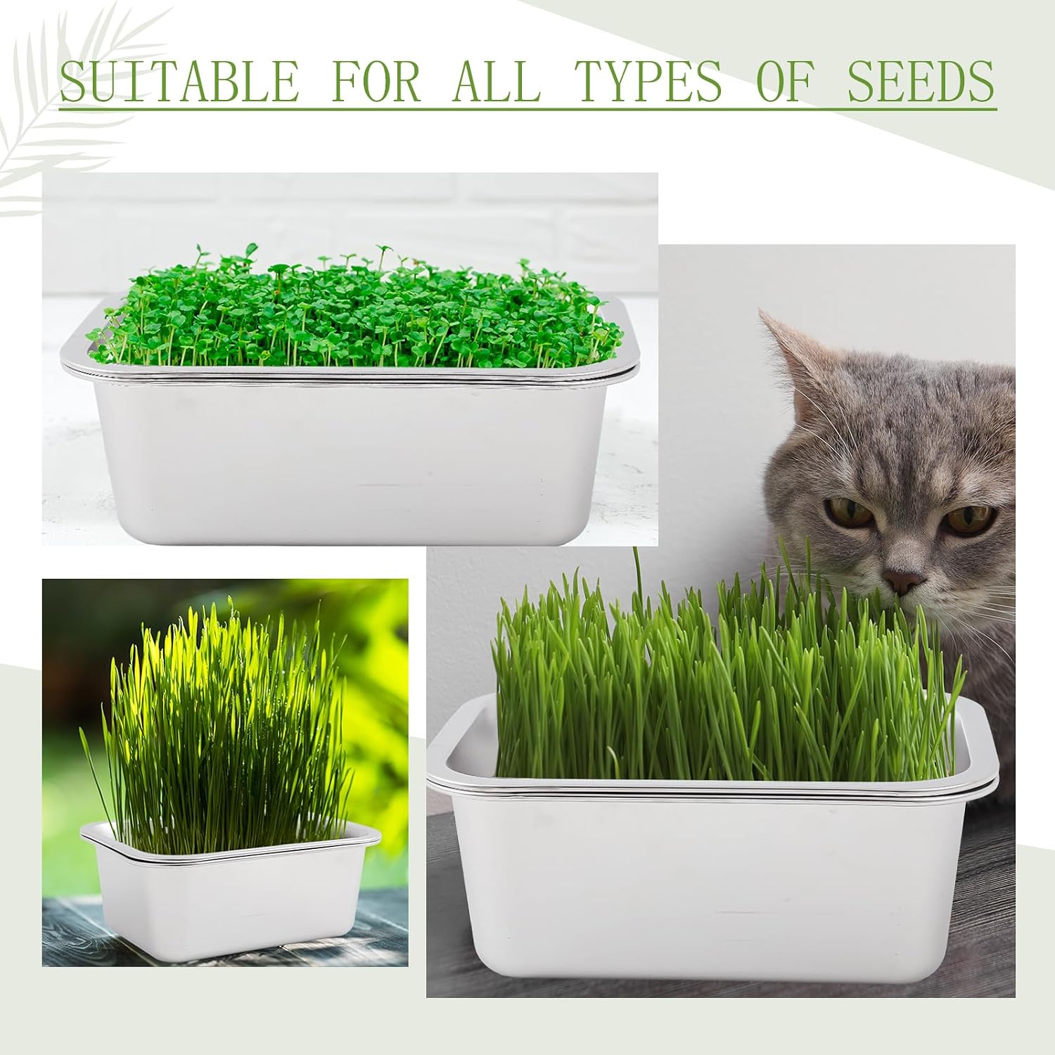 Vesici 4 Pack Sprouting Tray Kit, Stainless Steel Soil Free Cultivation Germination Tray, Wheatgrass Growing Container