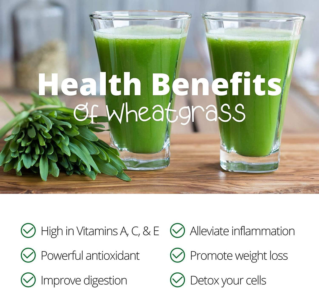 Handy Pantry Organic Wheatgrass Growing Kit w/Hurricane Stainless Steel | Wheat Grass Juicer- Everything to Grow &