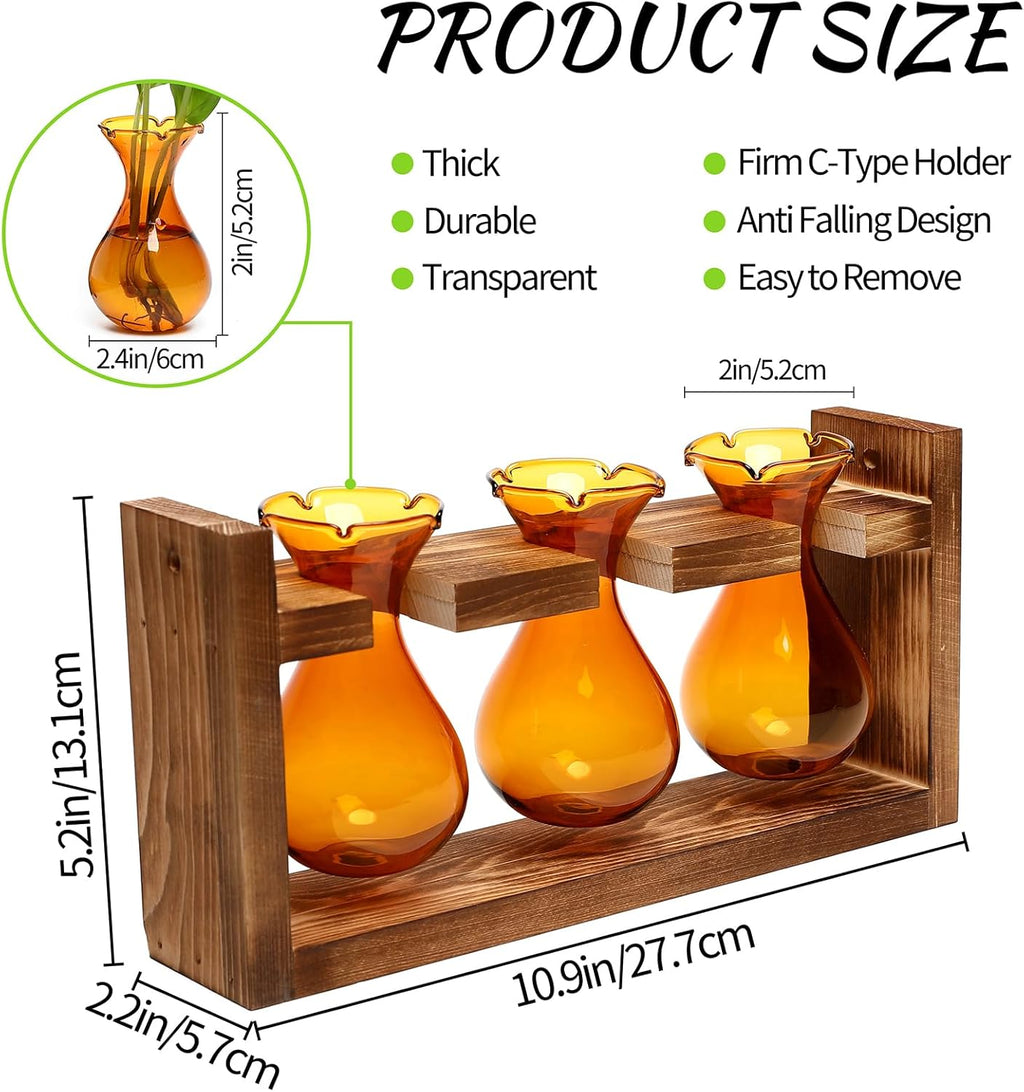 Plant Propagation Station Plant Terrarium Unique Birthday Gifts for Women | Plant Lovers Home Office Decor Planter with