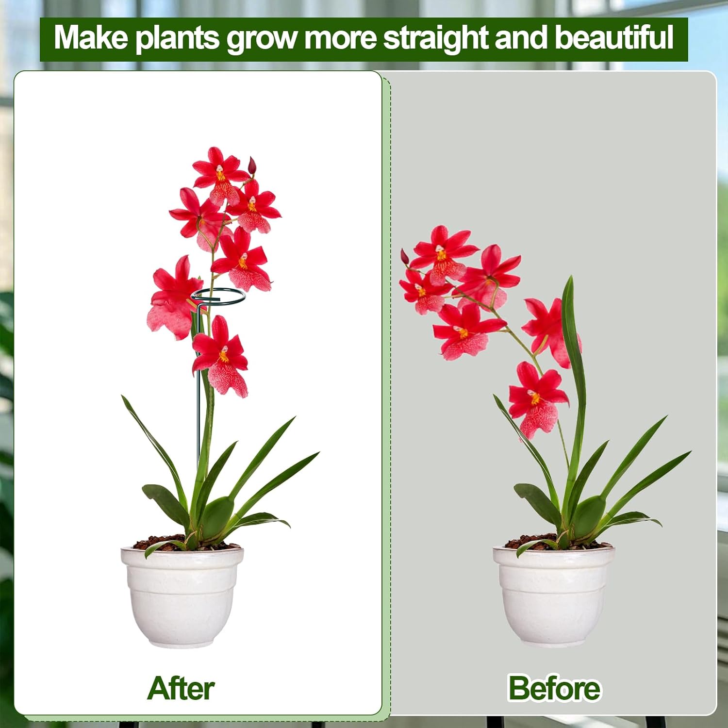 Mwellewm 6 Sets Plant Stakes 12/25/36 Inch Adjustable Plant Support Stakes Tall for Indoor Outdoor Plant Holder Stick