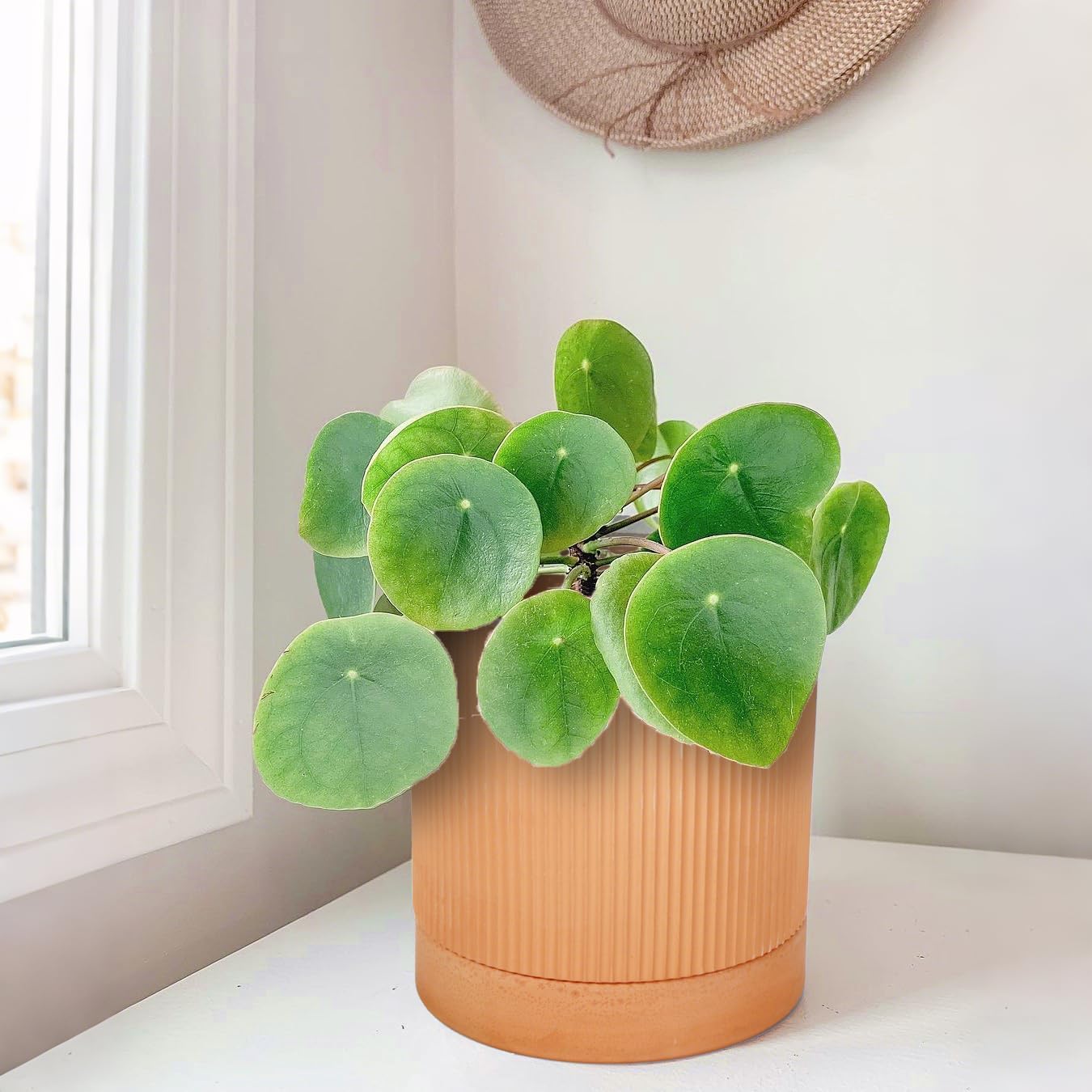 HERDUK Small Modern Terracotta Pots, 4.2 Inch Ribbed Textured Clay Planter Pots with Drainage Hole & Saucer, Garden