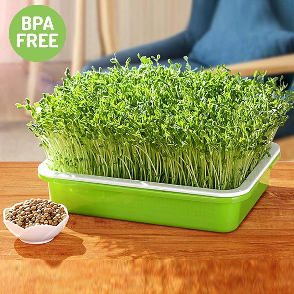 2 Pack of BPA Free Home Microgreen Soilless Hydroponics Seed Sprouter Grow Tray with Cover + Free Spray Bottle and 20