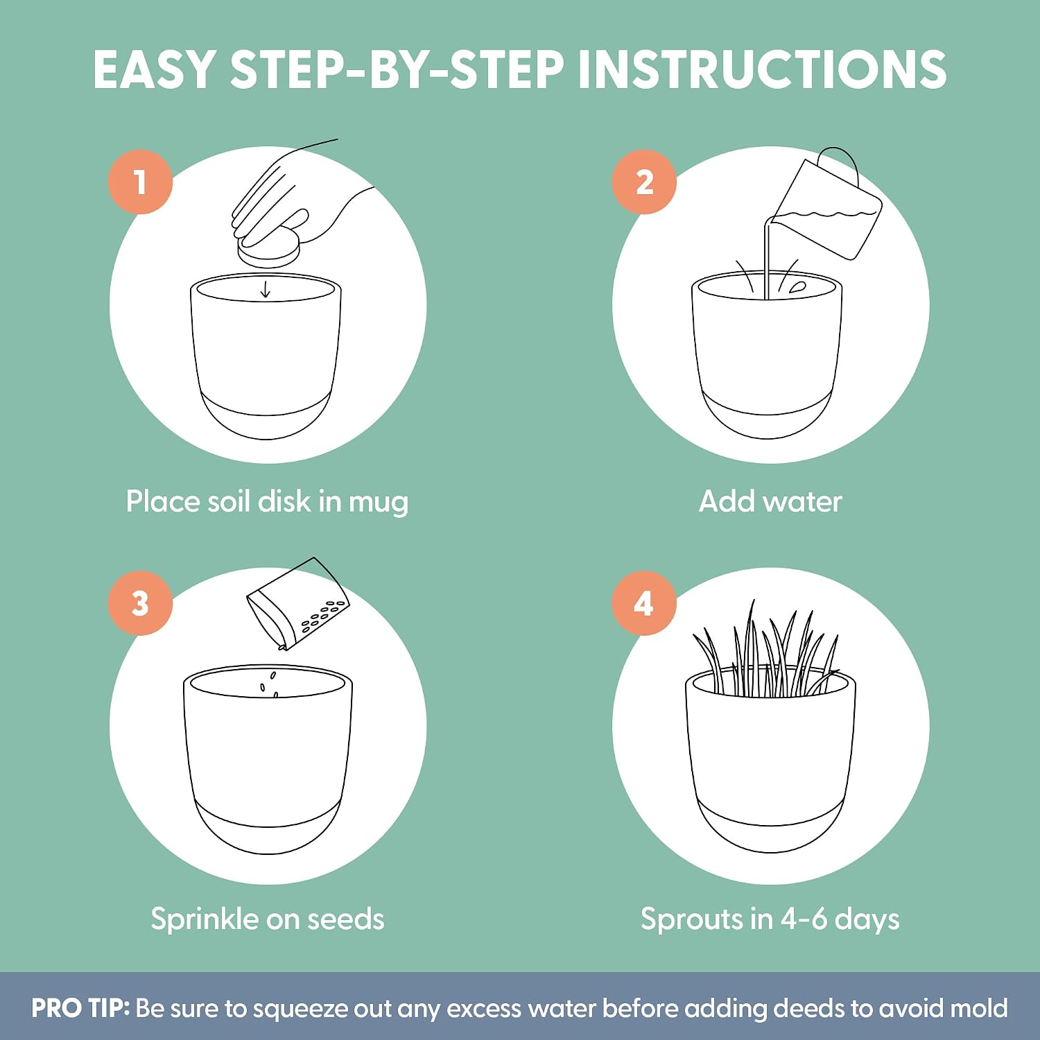 The Cat Ladies Cat Grass for Indoor Cats Kit with Organic Cat Grass Seed Mix, Soil and Ceramic & Cork Planter, Natural