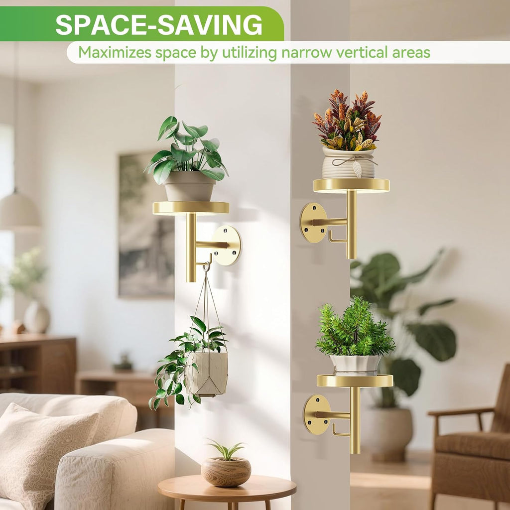 DELLAN Wall Plant Holder, 3-Pack Floating Shelves for Plants, All Gold | Wall mounted indoor hanging plants shelf &