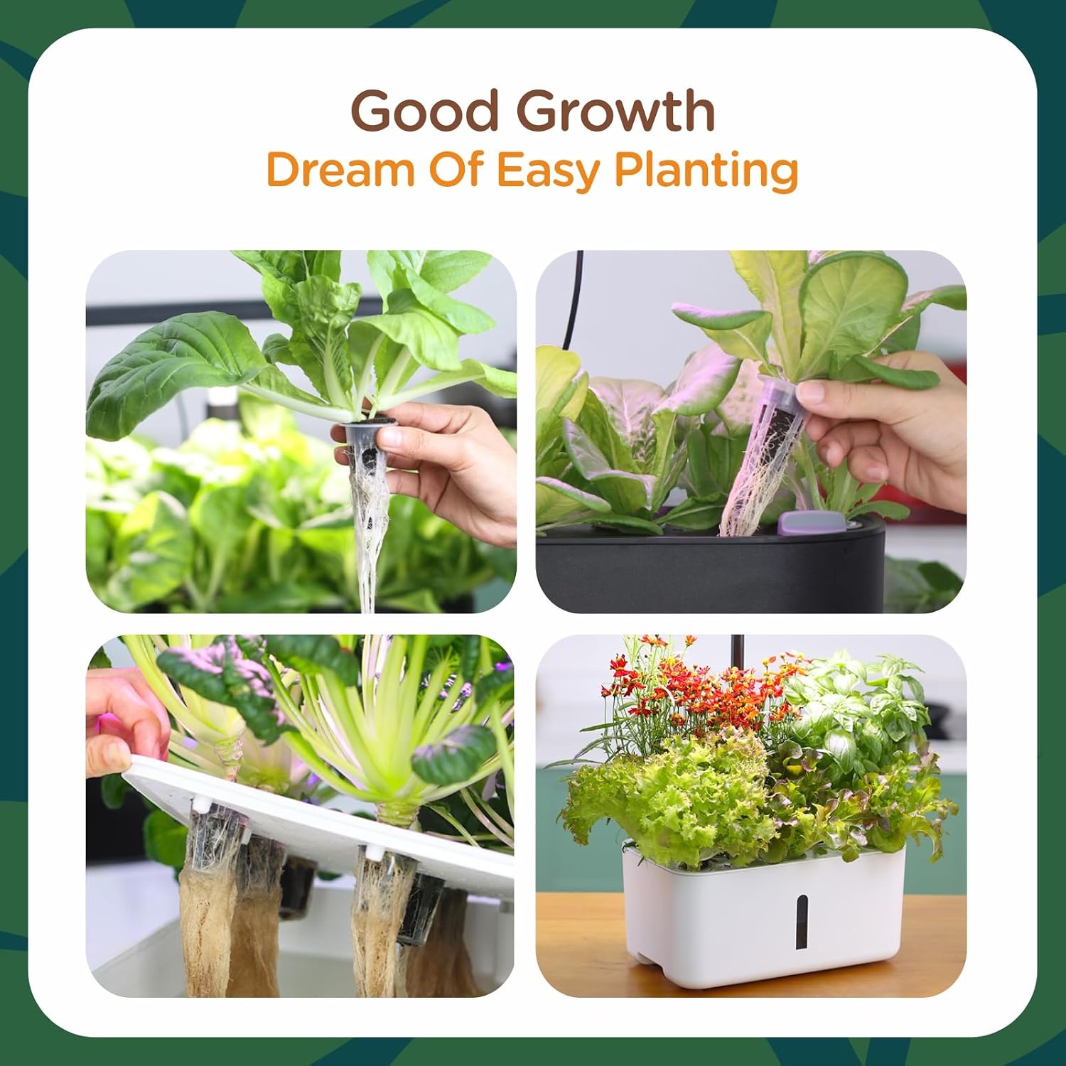 150 Pack Grow Sponges for AeroGarden, Hydroponic Seed Starter Pods | Cone-Shaped Grow Sponges Made with Peat for Indoor