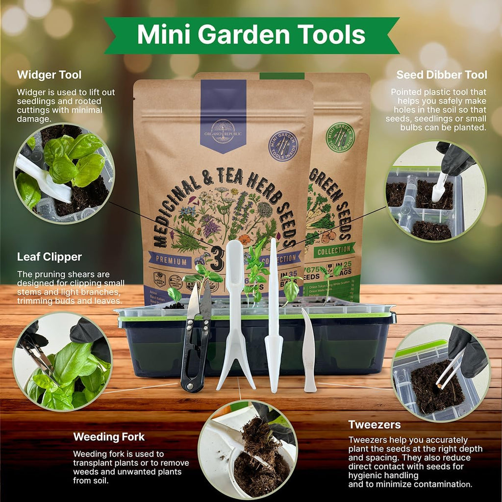 35 Medicinal & Tea Herb Seeds & 25 Winter Vegetable & Greens Seeds Variety Pack Bundle, 44,000+ Non-GMO Heirloom Garden