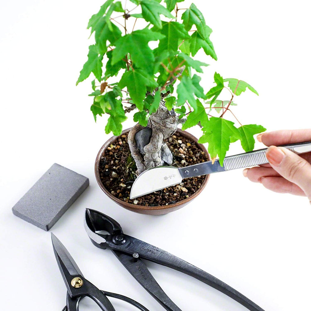 Wazakura 4PCS Bonsai Essential Tool Kit MADE IN JAPAN, Japanese Bonsai Scissors 7inch(180mm) + Concave Branch Cutter