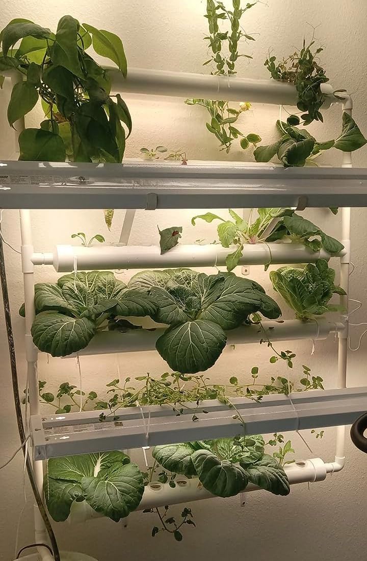 PVC Hydroponics Growing System 54 Plant Sites 6 Pipes Hydroponic Grow Kit Garden System Vegetable Tool with Pump