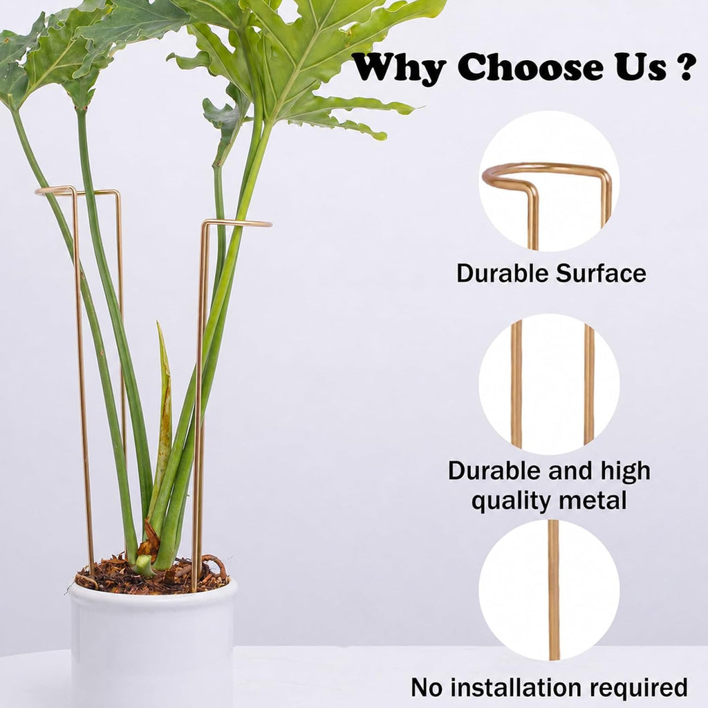 10 PCS Large Indoor Plant Stakes 15.5" Heavy Duty Metal Supports | Plant Supports for Outdoor & Indoor Plants, Durable