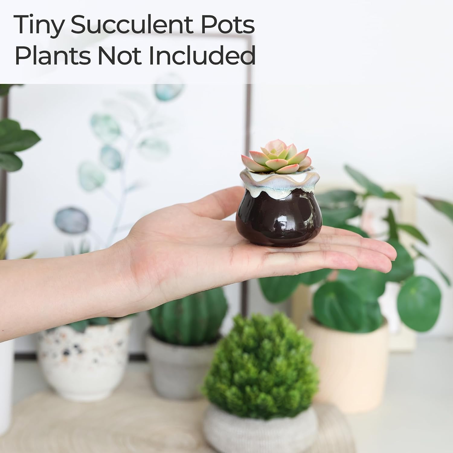 T4U Small Ceramic Succulent Pots with Drainage - Set of 12, Mini Pots for Plants, Home and Office Decor, Plant Lover