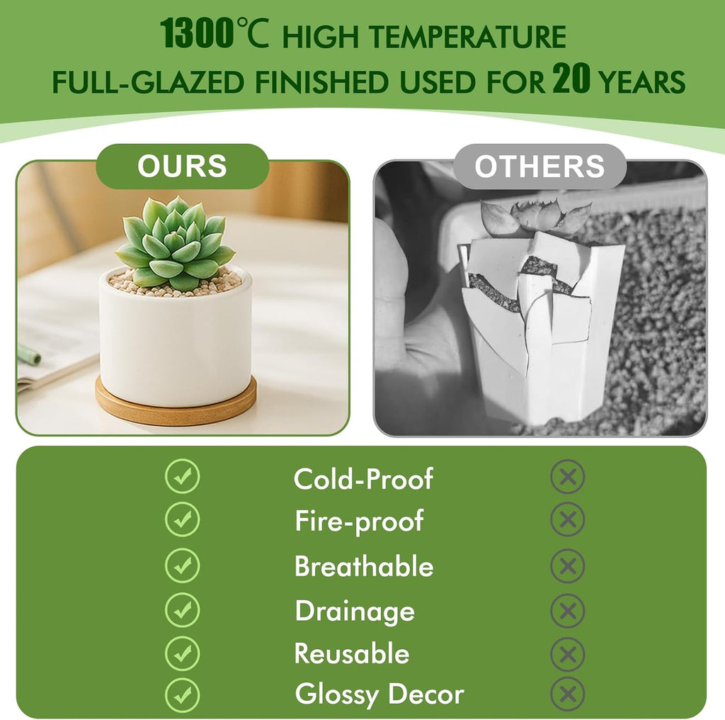 ZOUTOG Succulent Pots 3.1 Inch,Succulent Planters 12 Pack,Small Pots for Plants with Drainage and Tray,White Ceramic