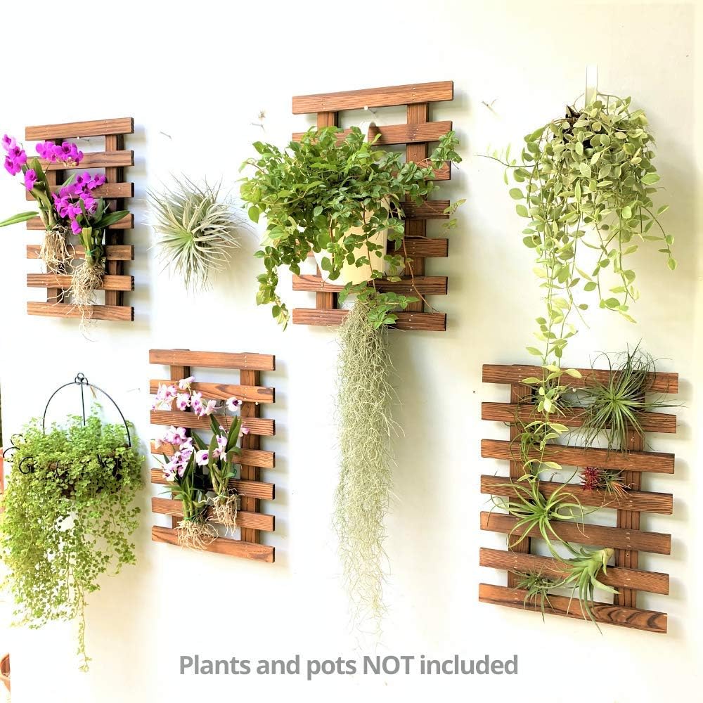ShopLaLa Wooden Wall Planter (40cm, 4 Pack) Hanging Planters for Indoor | Air Plant Succulent Orchid Holder, Live