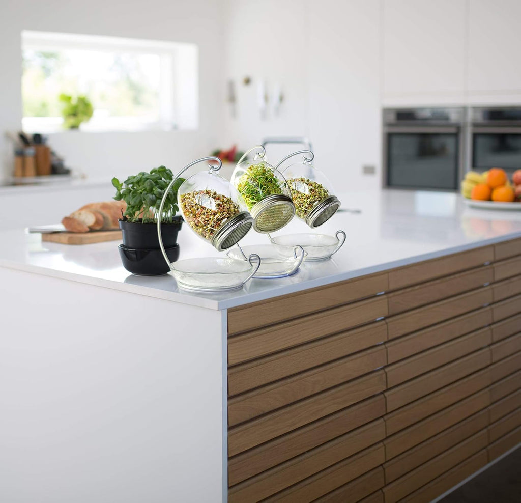 Premium Sprouting Jar Kit - Unique 30 oz Wide Mouth Sprouting Jar, Stand, Tray and 316 Stainless Screen Lid