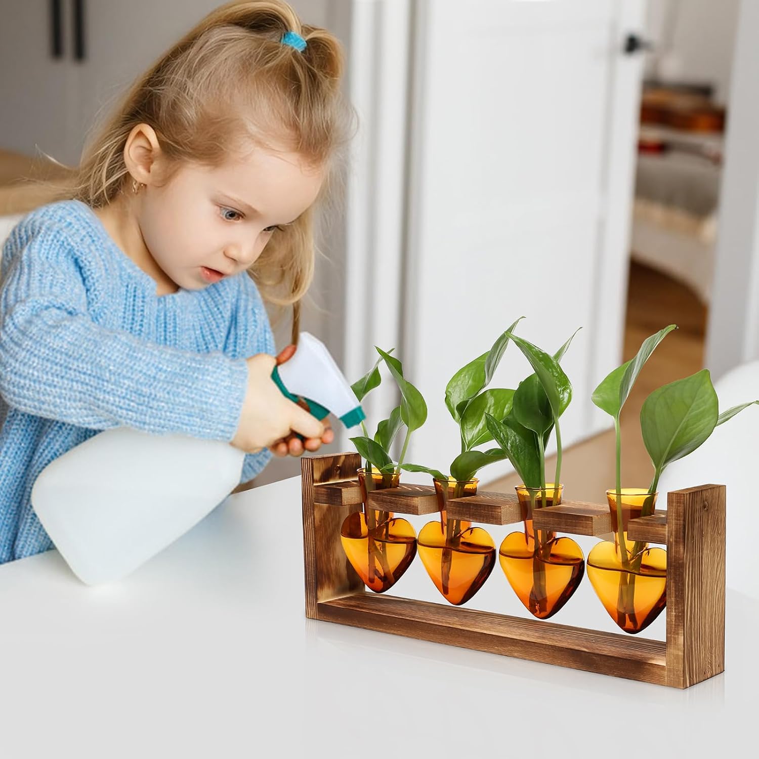 Plant Propagation Stations Heart Plant Terrarium Kit | Gift for Women Plant Lover Glass Vases