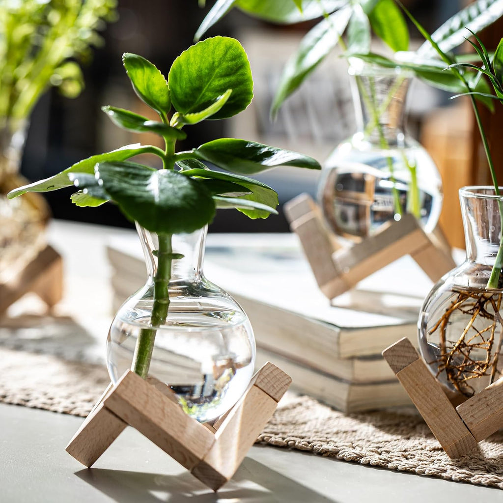 Propagation Stations, Propagation vases with Wooden Stand, Small Tabletop Glass Bulb Vases for Hydroponics Plant