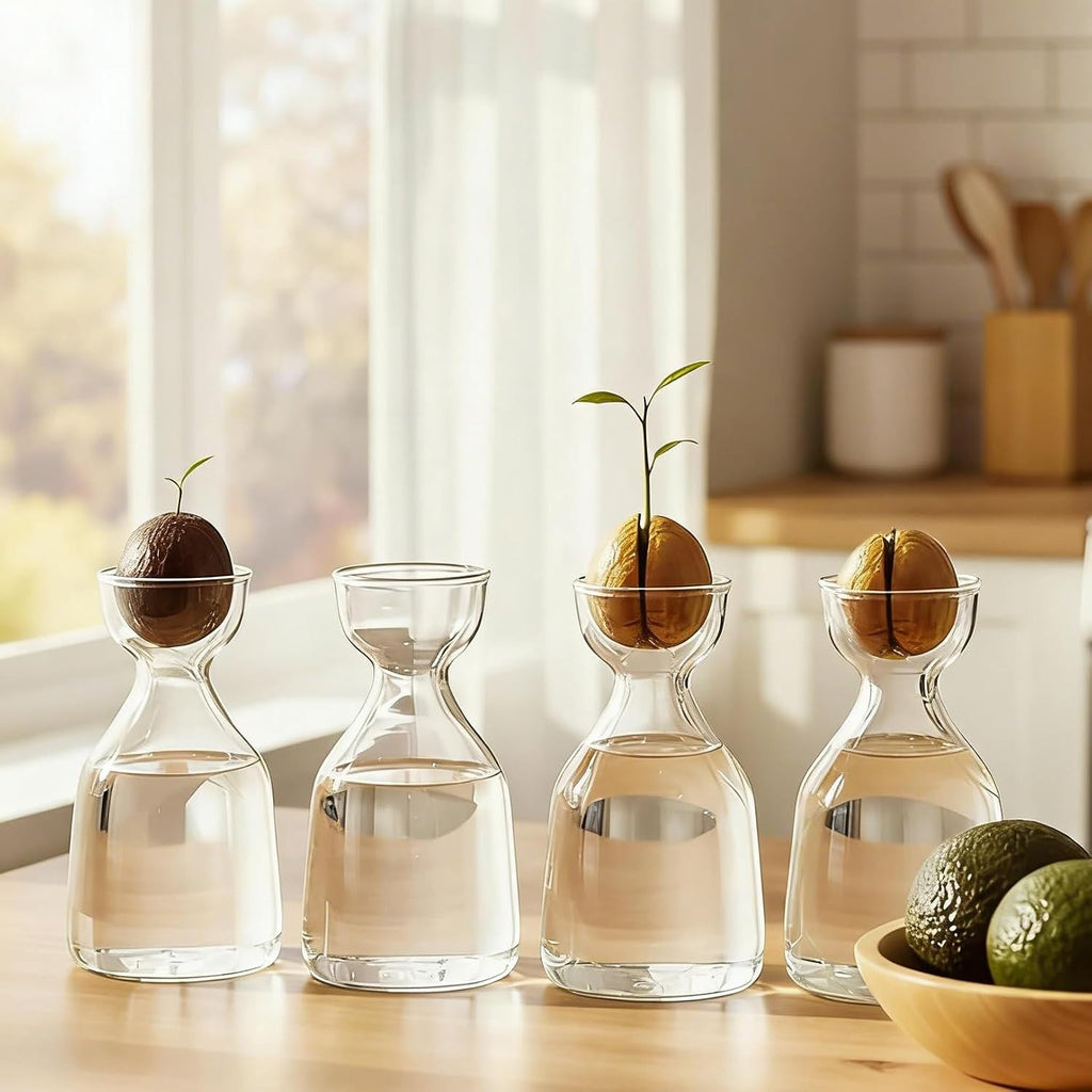 Glass Avocado Tree Growing Kit Seed Starter Flower Vases | 3 Pcs Acorn Plant Pot, Small Glassware Planter, Home Table