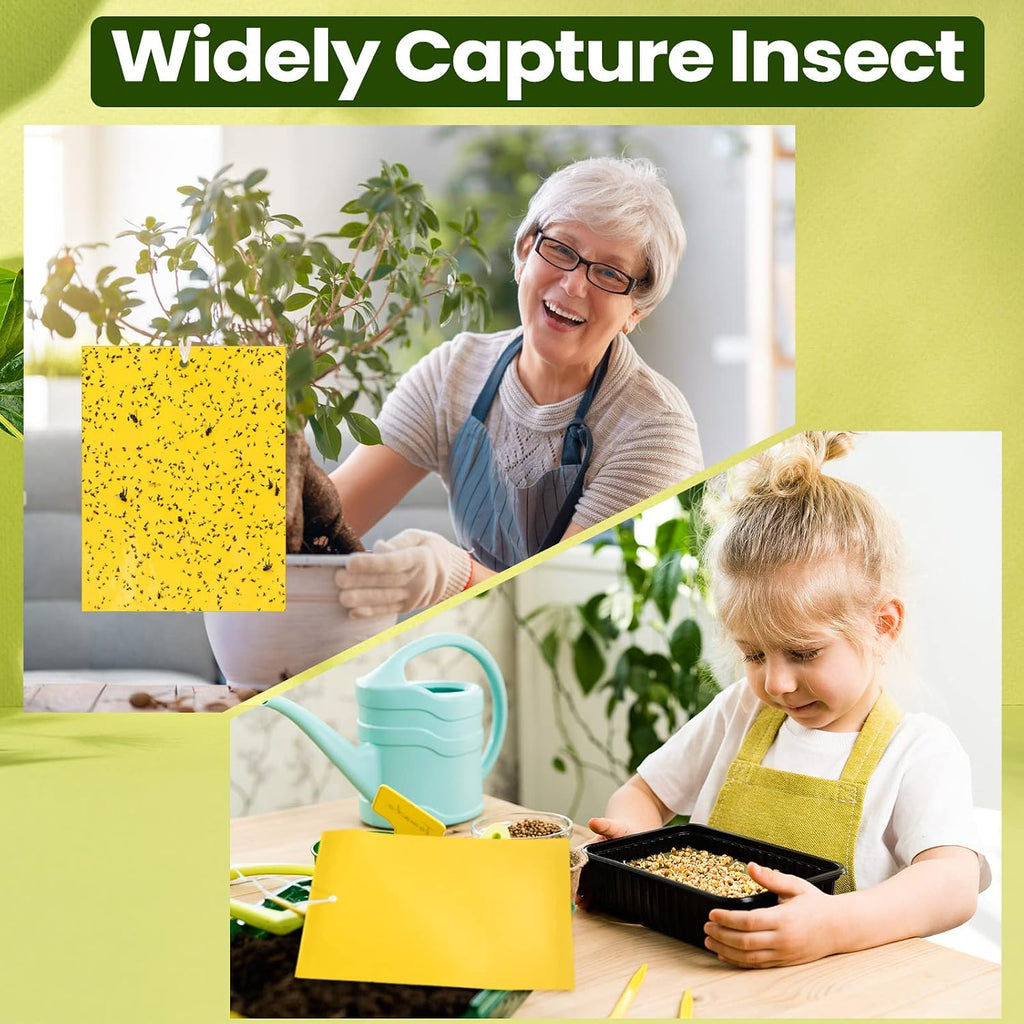 Qualirey 900 Pcs 6x8 Inch Yellow Sticky Traps for Gnats, Dual-Sided Sticky Gnat Traps for Indoor Outdoor, Fly Catcher