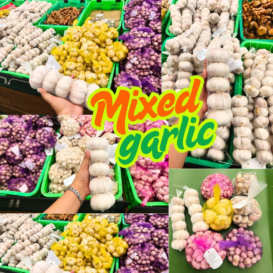 1 LB Mixed Garlic Bulbs for Planting in Fall, Hardneck Softneck Top Size | Fall Garlic Bulbs, Mix Random, Fresh and