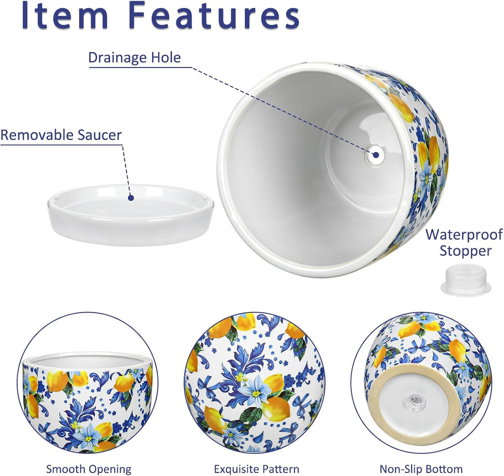 5.3+4.3 inch Ceramic Plant Pots, Set of 2 Blue and White Plant Pot with Drainage Holes and Saucers Small Lemon Indoor