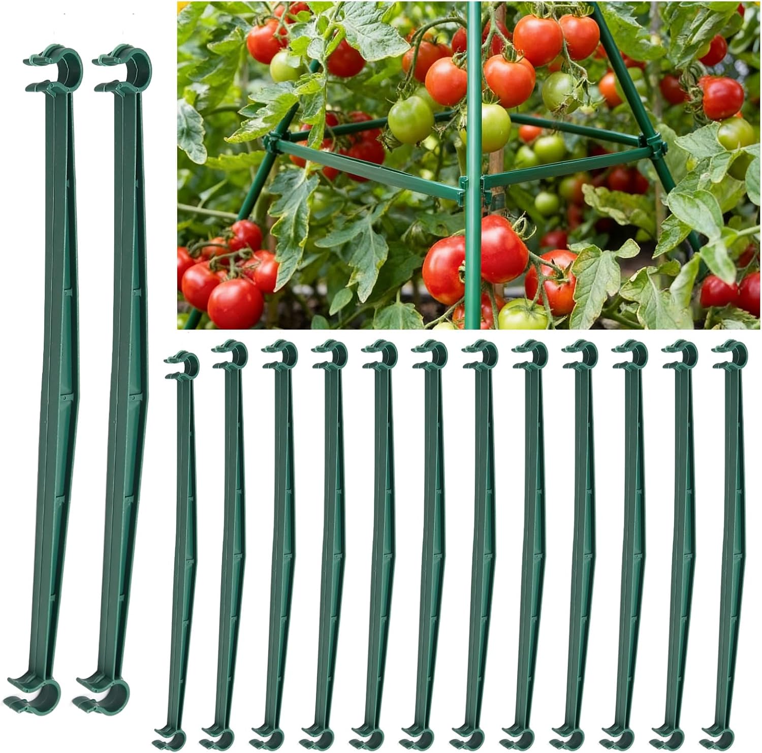 100 PCS Stake Arms for Tomato Cage, 12.8” Expandable Trellis Connectors,Plant Support Garden Stakes, Tomato Stake
