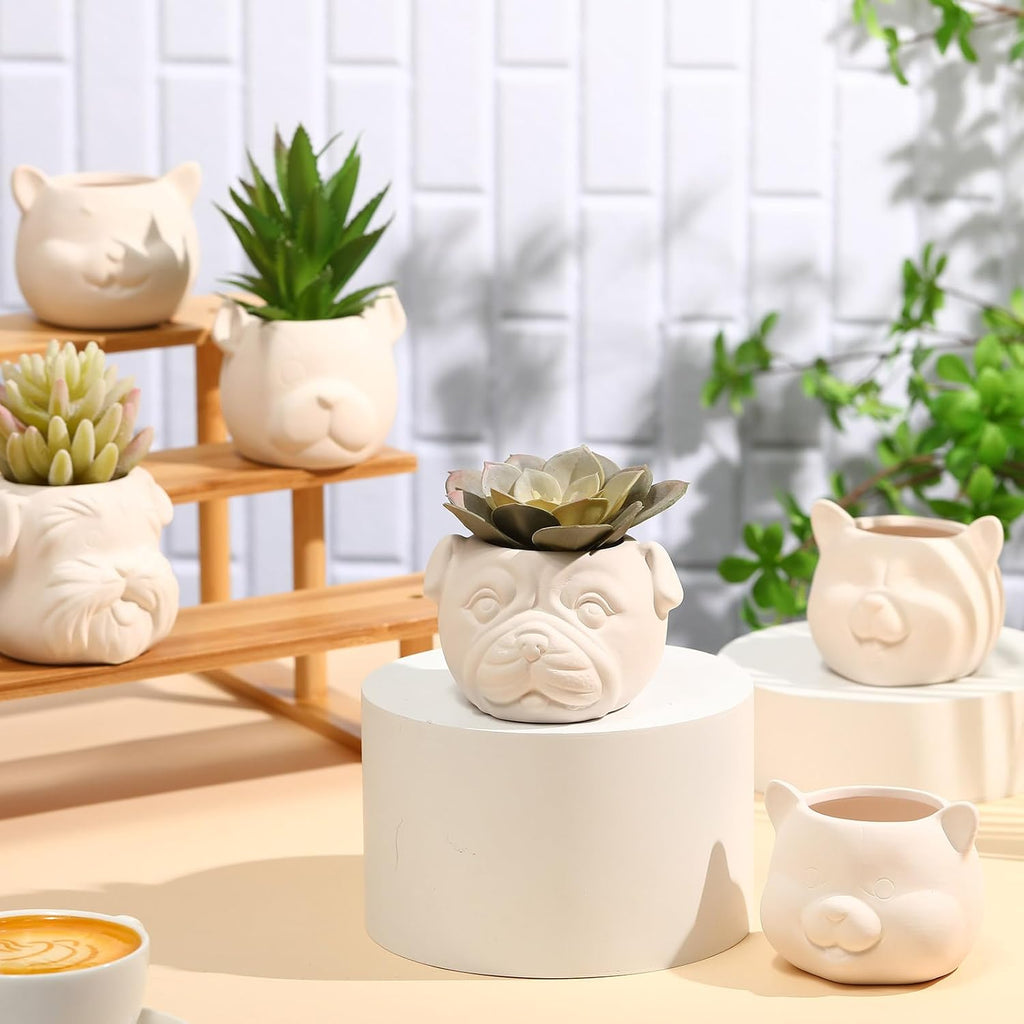 Hushee 12 Sets Ceramic Succulent Pots to Paint with Drainage | Paintable Succulent Plant Pots, 12 Styles, Small DIY