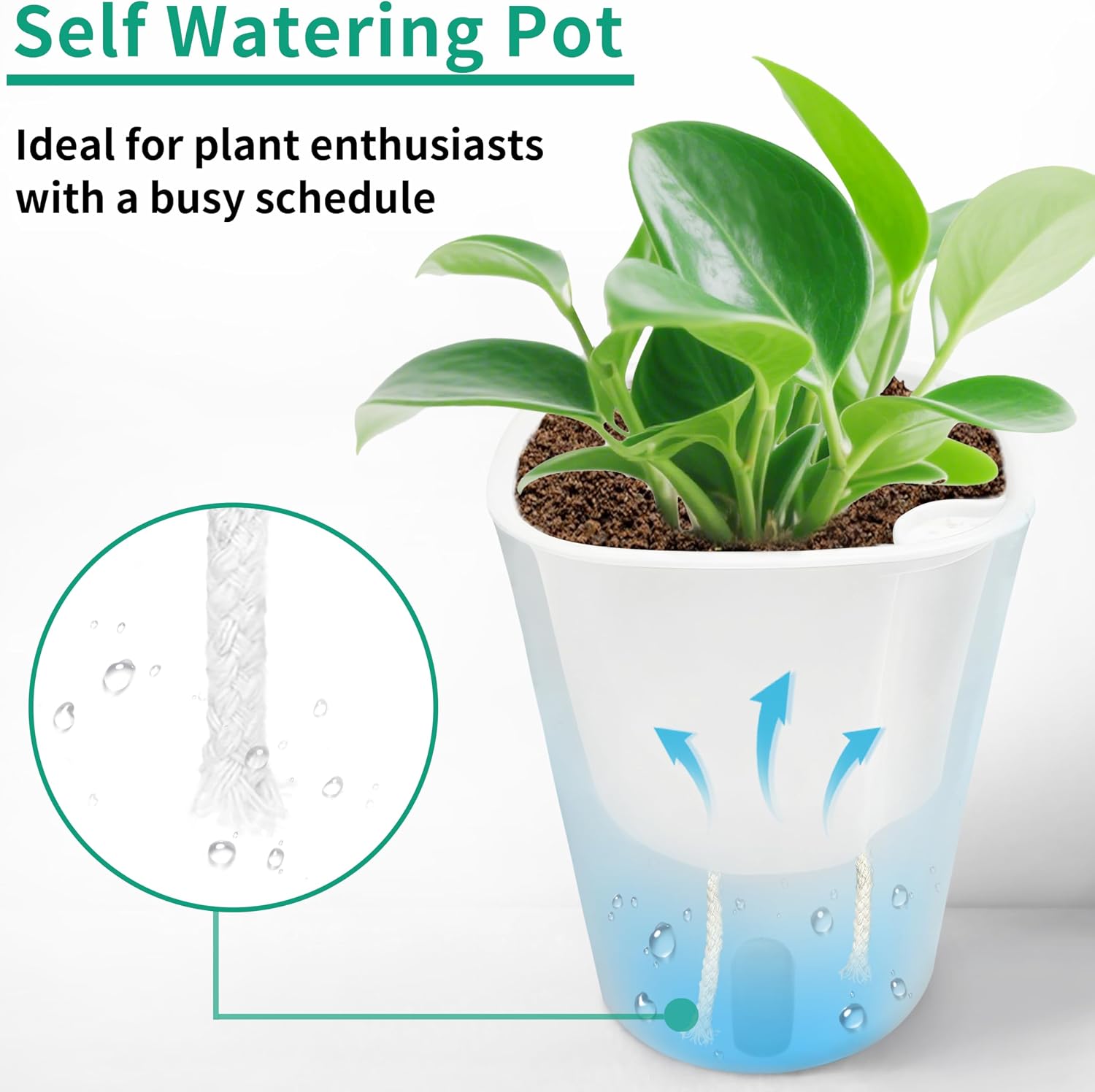 TCBWFY 5 Inch Self Watering Pots for Indoor Plants,5 Sets Self Watering Planter Pots with Visual Water Level Window and
