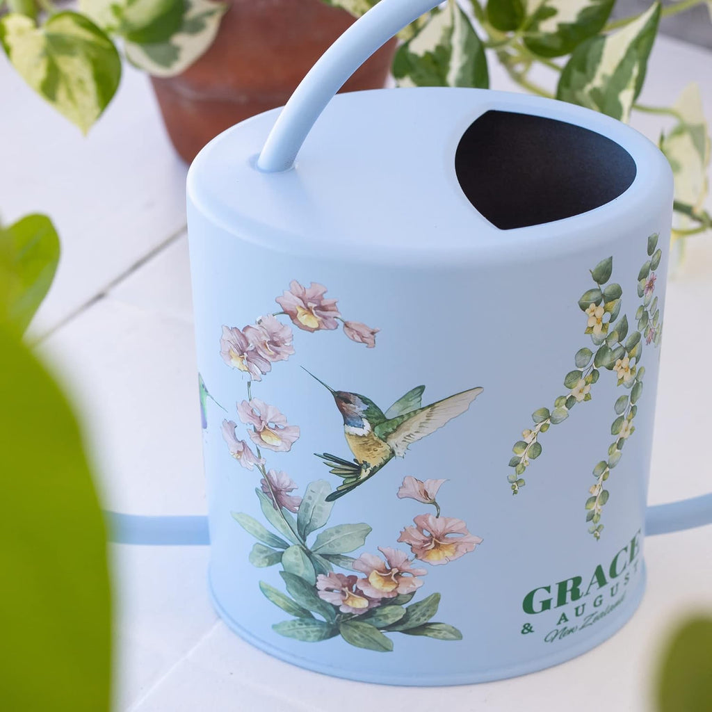 Indoor Watering Can & Mist Spray Bottle Set for Indoor Plants - Decorative | Gooseneck Long Spout, Stainless Steel