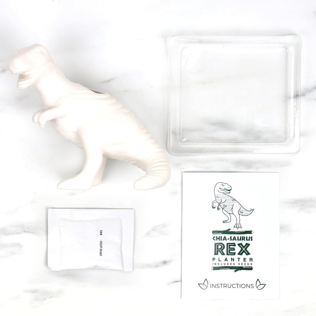 Gift Republic Dinosaur Shaped Chia Planter. Desktop Sprouting Chia Animal. Fun Grow Kit - Chiasaurus Rex