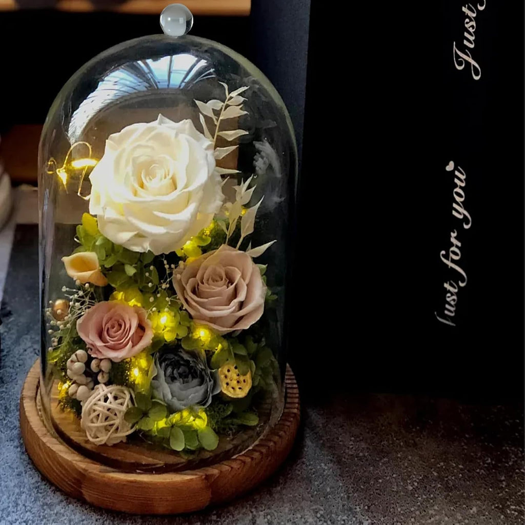 Glass Cloche Dome, 5 x 10 Inch | Glass Bell Jar with Wood Base, Clear Display Case for Flower, Plant,Fairy Lights