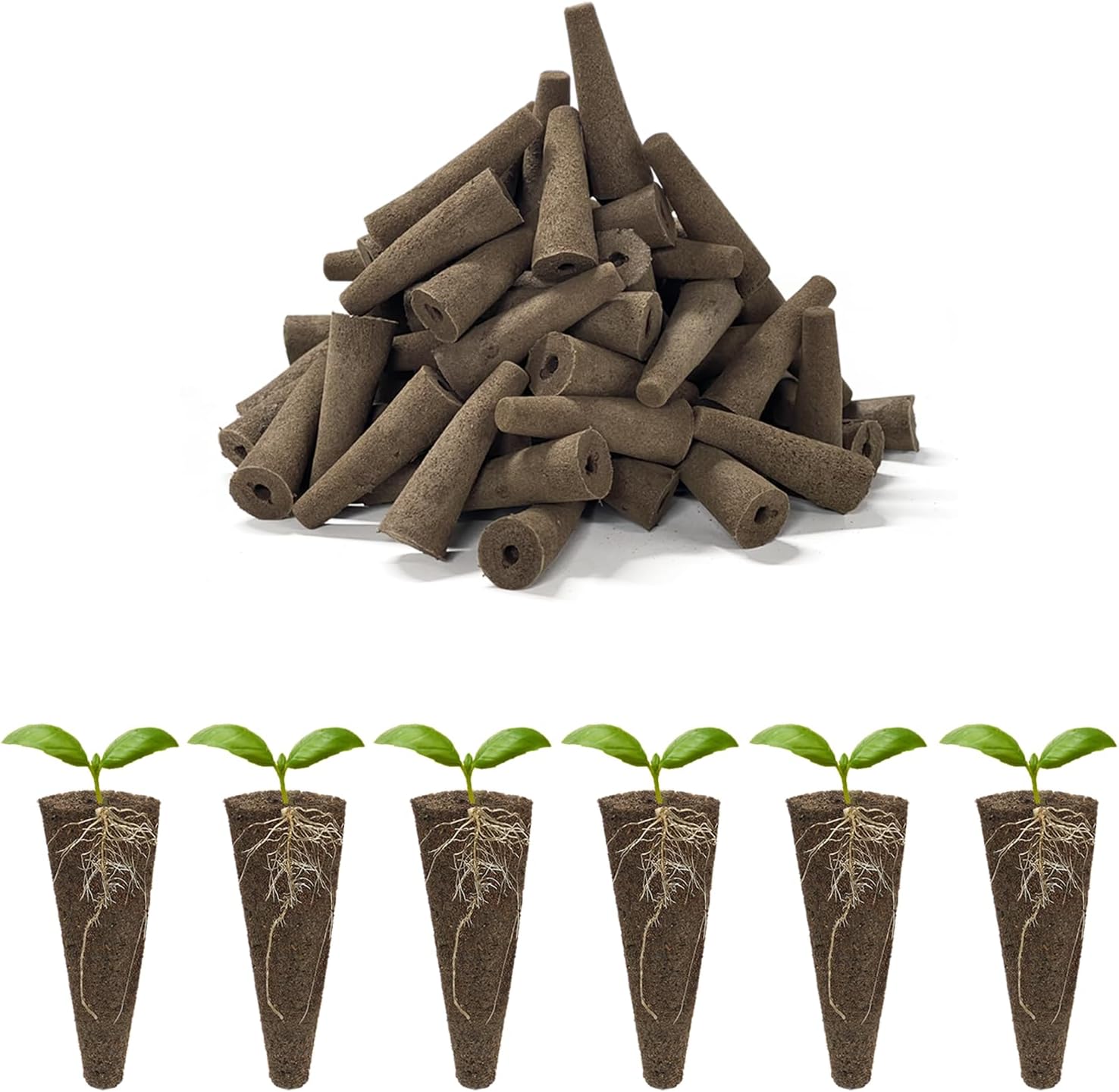 inbloom 12 Pods Hydroponics Growing System + 50 Packs Grow Sponges