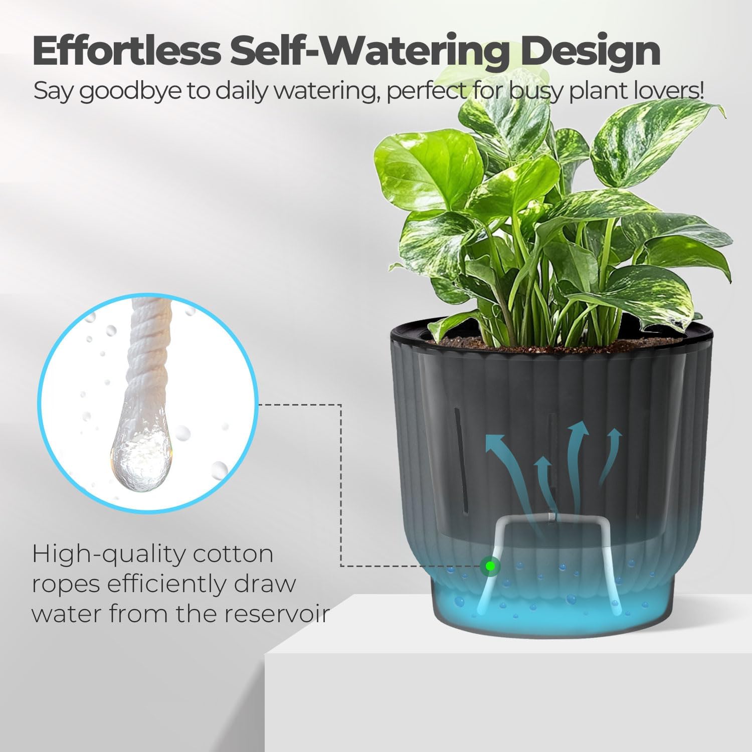 T4U Self Watering Pots for Indoor Plants, 7 Inch 4 Pack Planter Gray | African violet pothos ferns, Herb garden