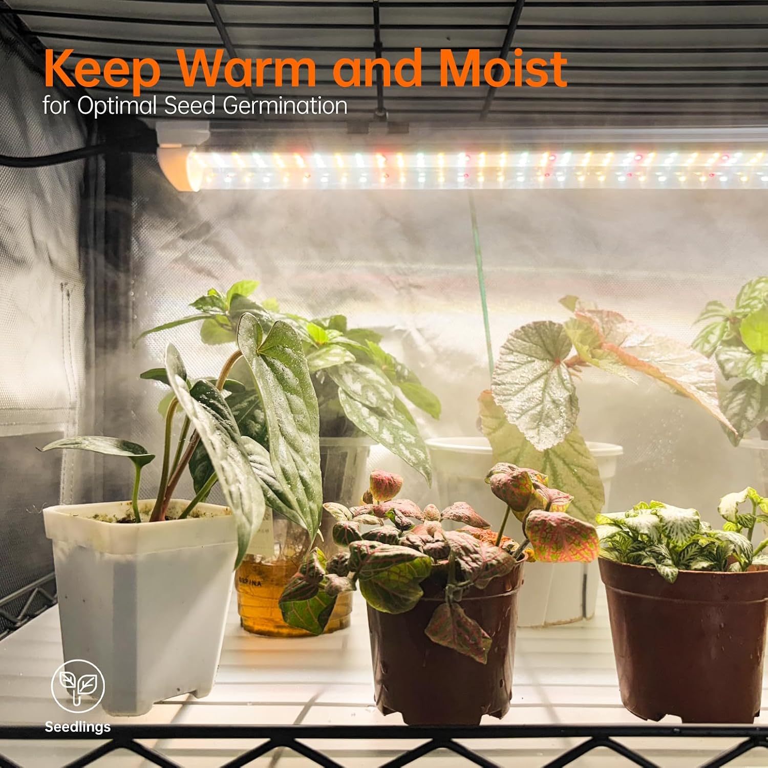 Indoor Greenhouse with Grow Light Oxford Cover, 35.4x13.8x59in | 4-Tier Indoor Greenhouse Cabinet, Base Tray, 4-Pack