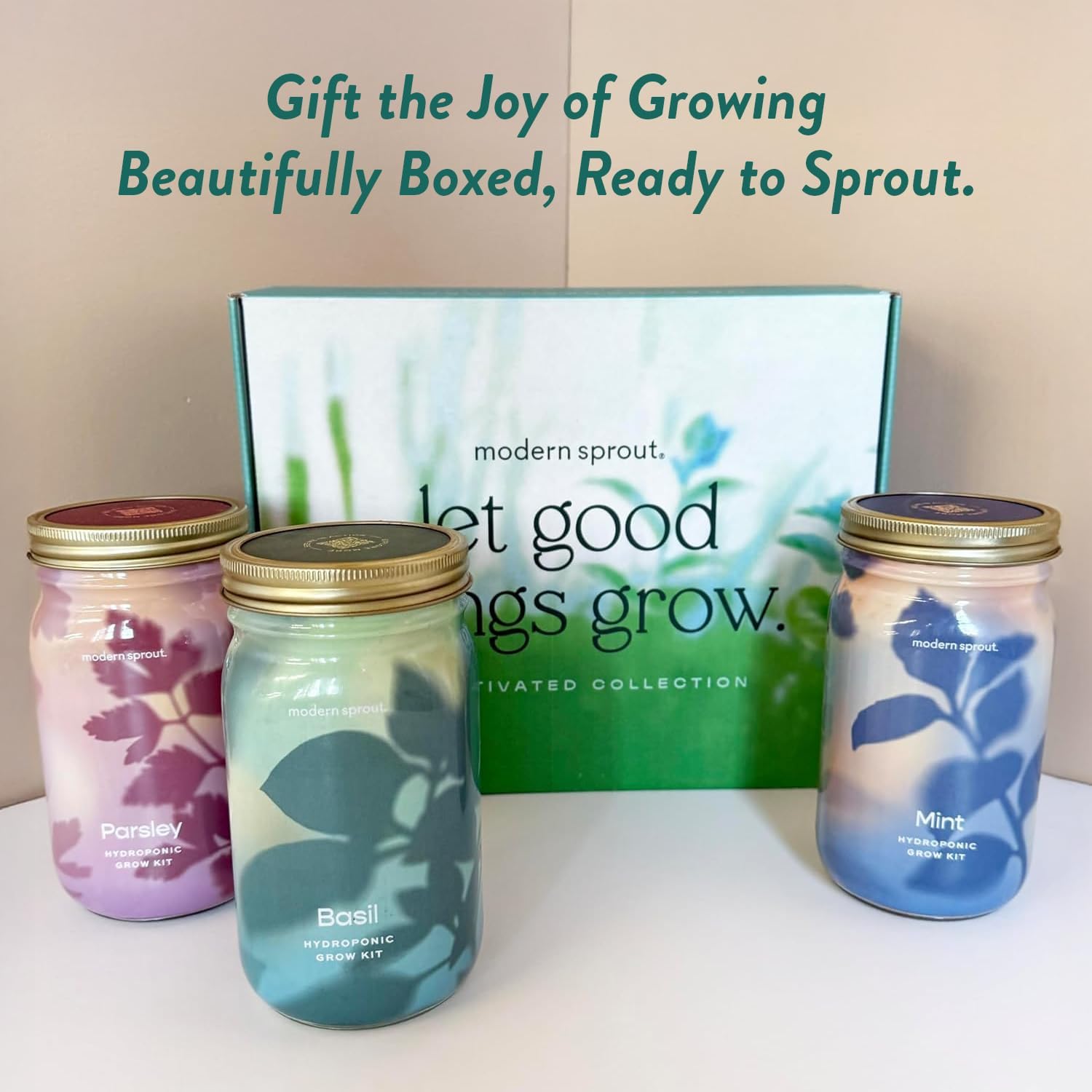 Modern Sprout Garden Jar Gift Pack - Hydroponic Kit - Basil, Parsley & Mint | Self-watering growing system w/organic
