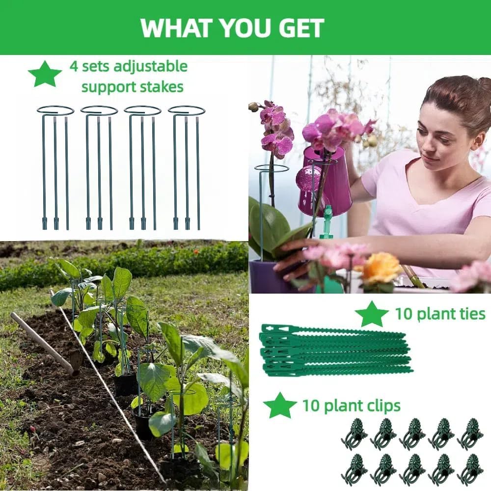 4-Pack Adjustable Plant Support Stakes - Heights: 12"/24"/36" - Stainless Steel & Deep Green - Plant Stakes for Indoor