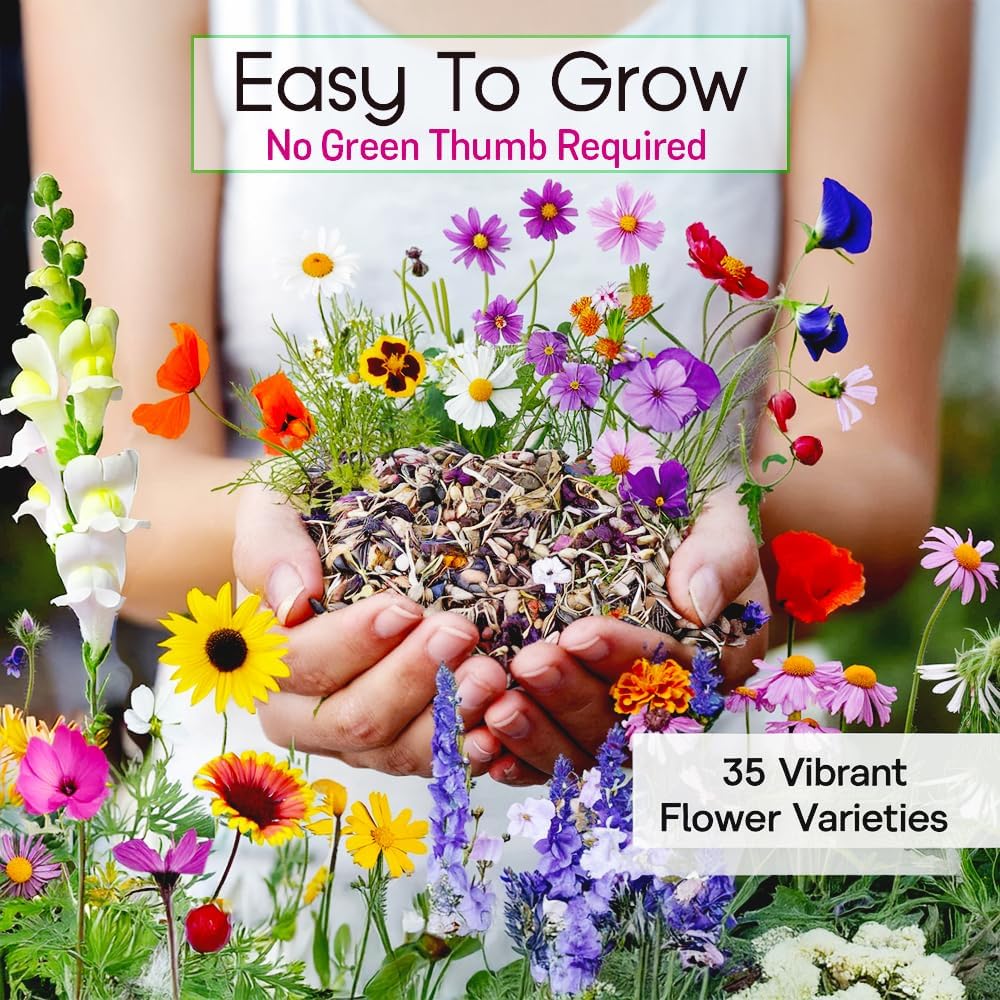 NatureZ Edge Wildflower Seeds, 1/2 lb, 340,000 Seed, 35 Variety Perennial & Annual Flower Seeds to Plant Outside, Bulk
