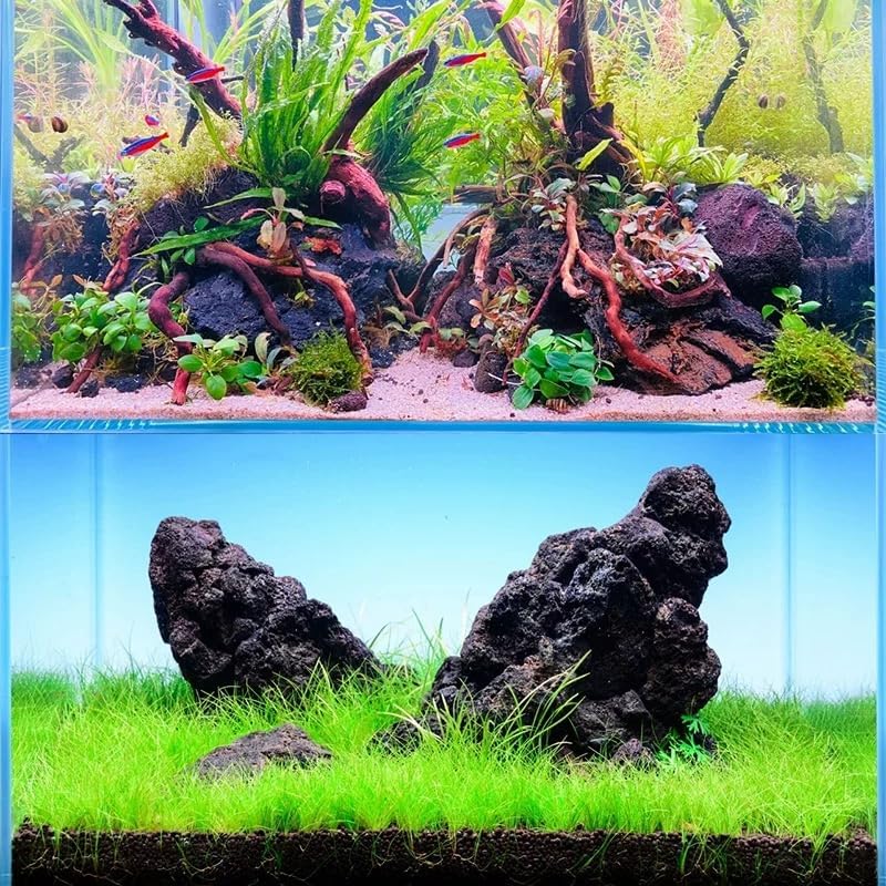 Black Lava Rocks 5lb Natural Volcanic Stone for Aquarium Fire Pit Succulent Planters Bonsai Garden Landscaping Decor,3