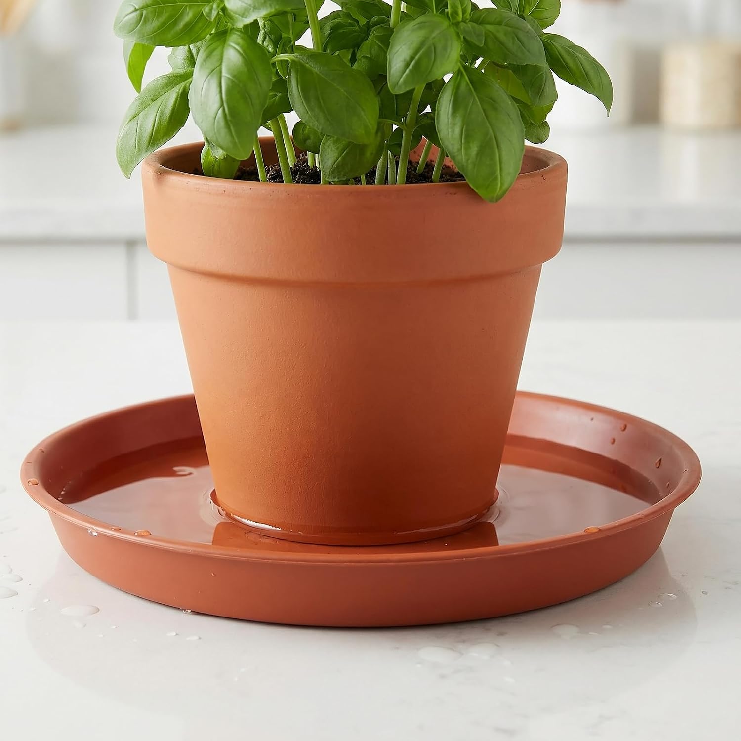 12 Pack Thickened 12 Inches Plastic Plant Pot Saucers, Plant Saucer Drip Tray with White Plant Labels, Flower Pot Tray