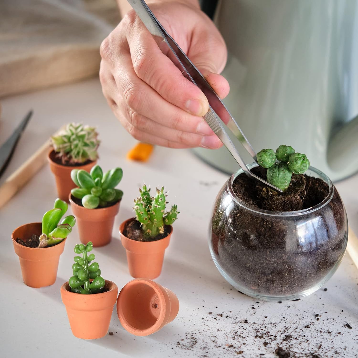 Gerrii 50 Pcs Mini 1. 2 Inch Terracotta Pots Bulk Small Clay Tiny Miniature Cactus Flower Succulent Plant Nursery Pots