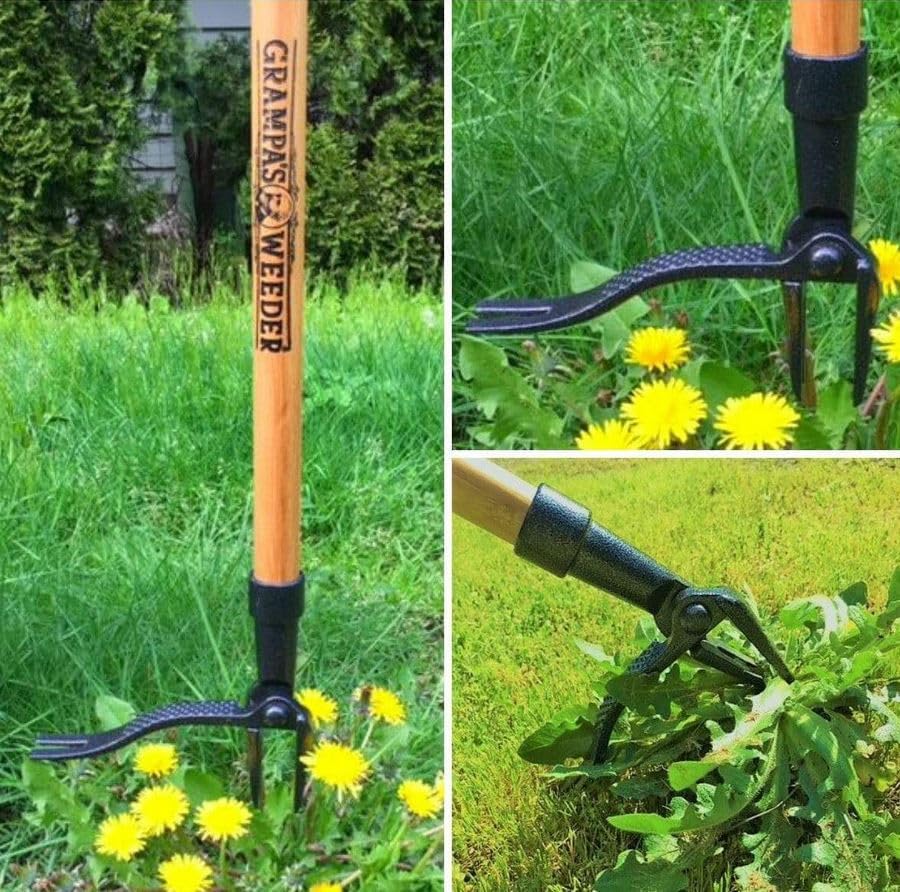 Grampa's Weeder Original Stand Up Weed Puller Tool with Bamboo Long Handle | 4-Claw Steel Head • Weeding Tool • Weed