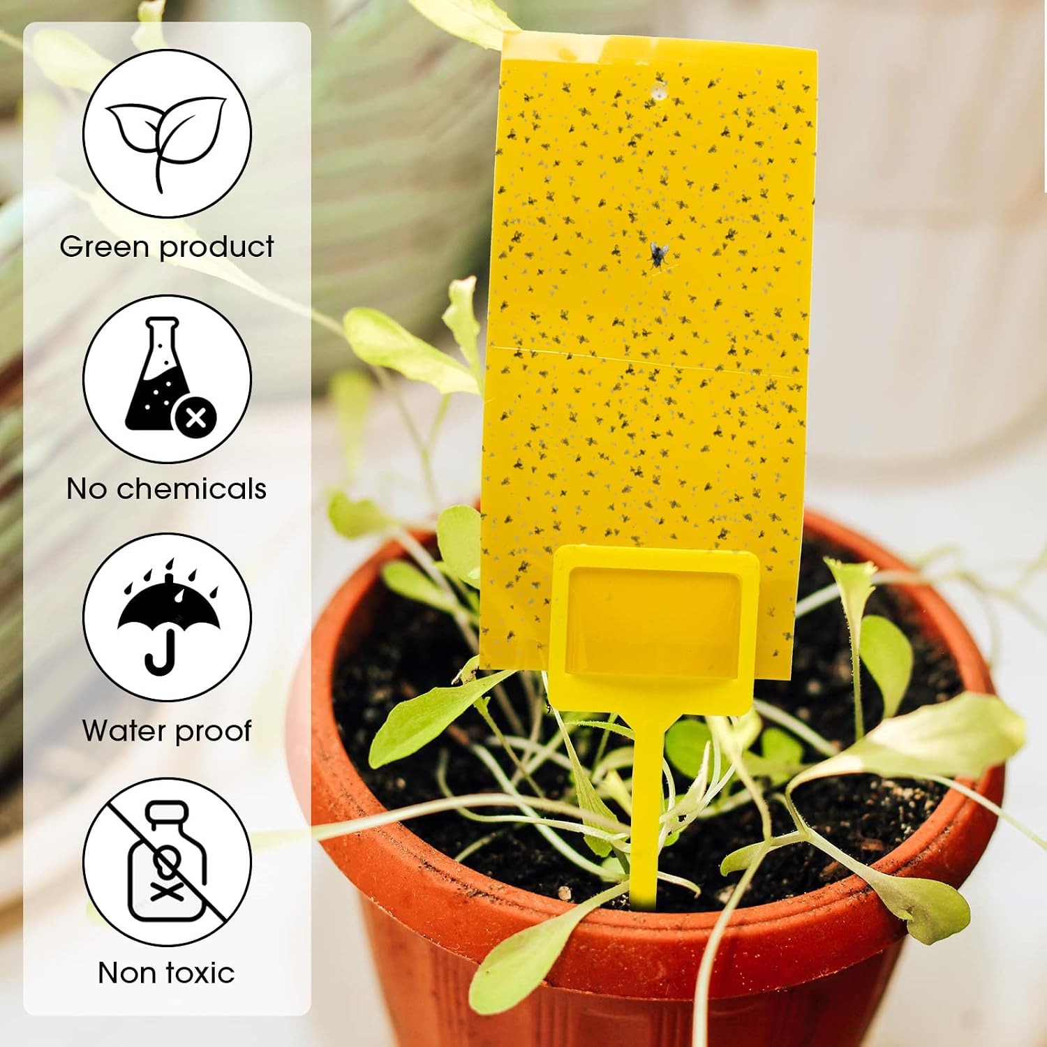 Qualirey 220 Pcs 7.9 x 4 Inch Yellow Sticky Traps for Plant Gnats Dual Sided Fruit Fly Sticky Traps for Indoors