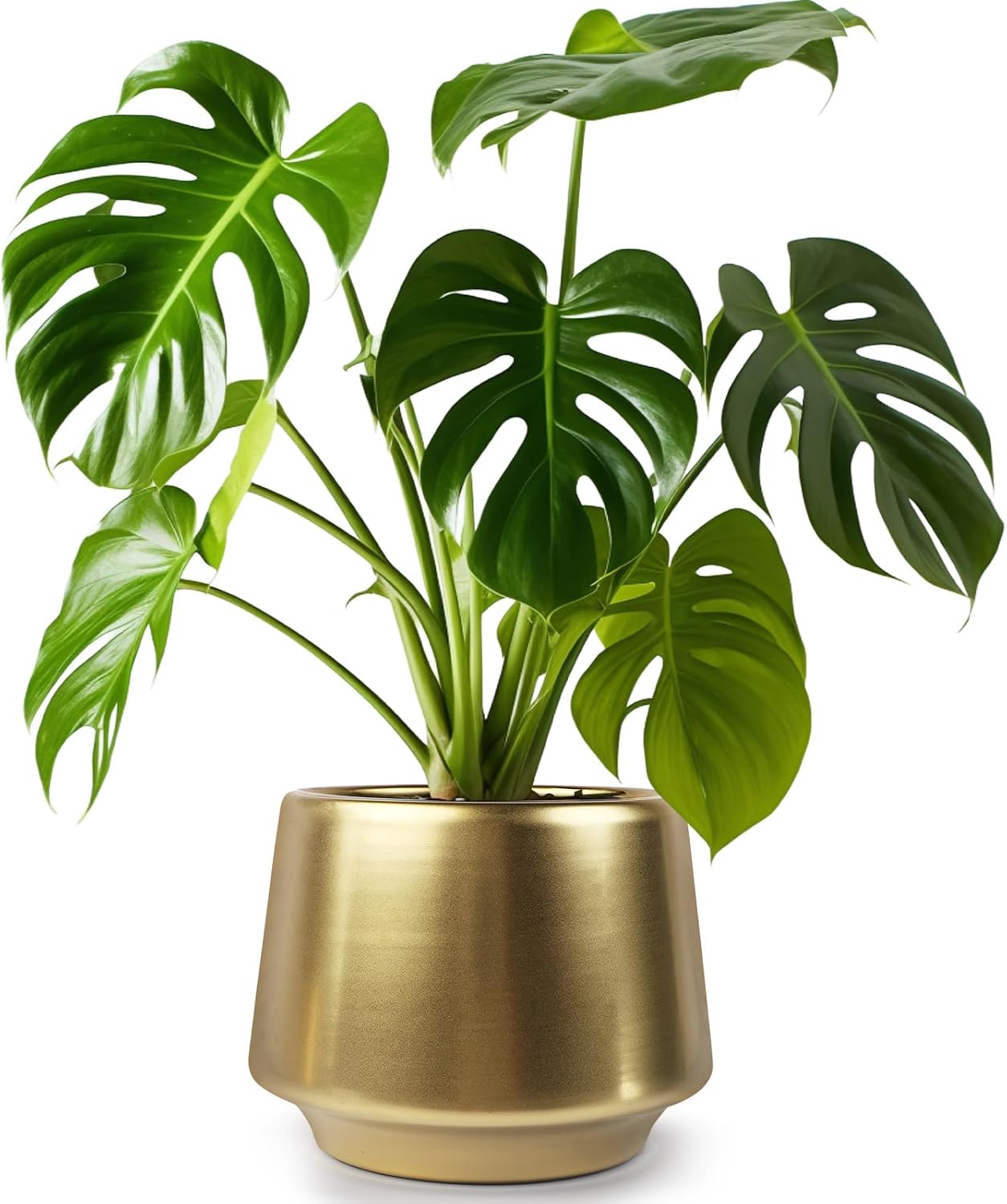 Gold Indoor Plant Pot 7 Inch Large Ceramic Planter With Drainage Hole - Modern Brass Flower Pot Centerpiece Vase