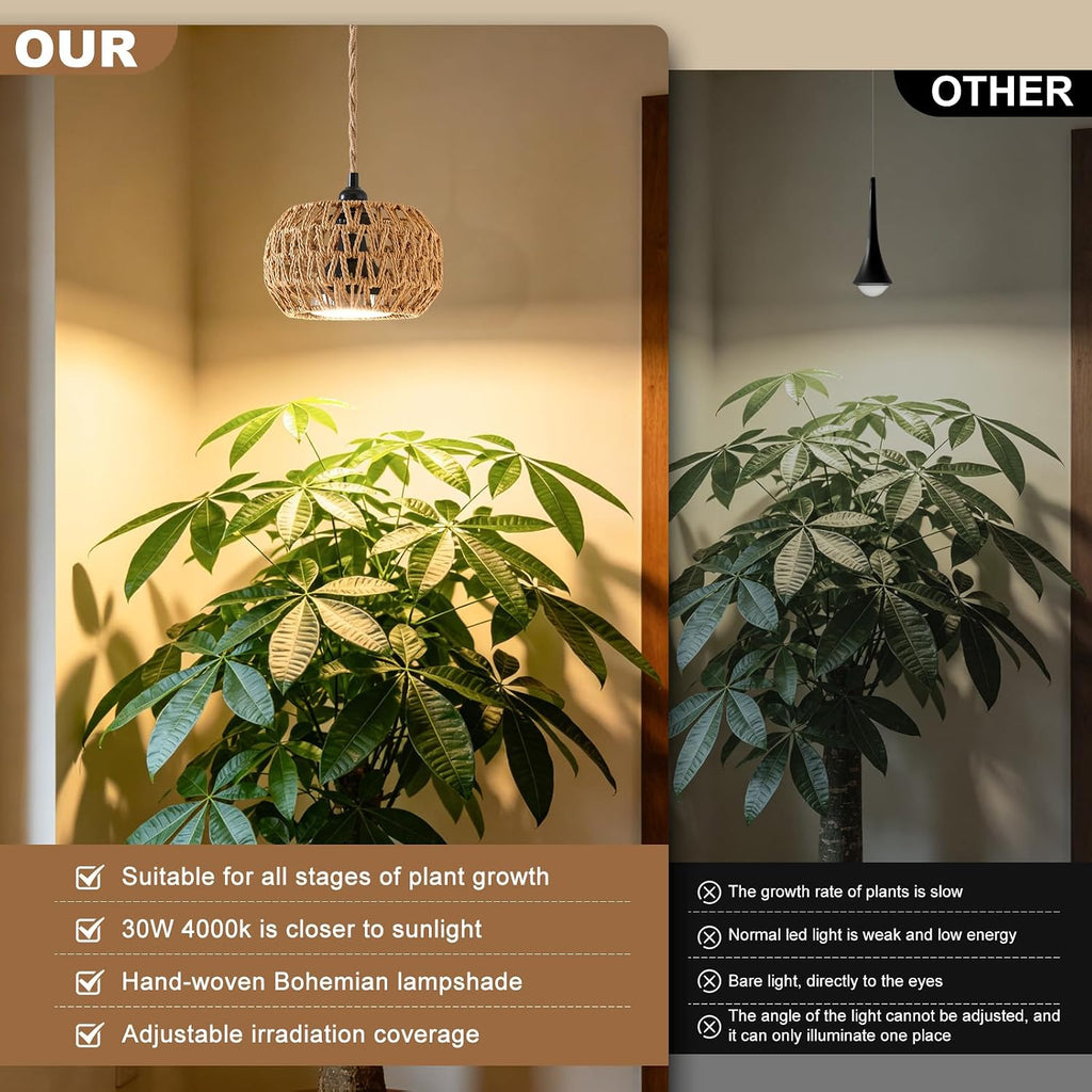 Grow Lights for Indoor Plants, Boho Plants Light, with 24H Timer and 15FT Power Cord, 30W Pendant Plant Lights for