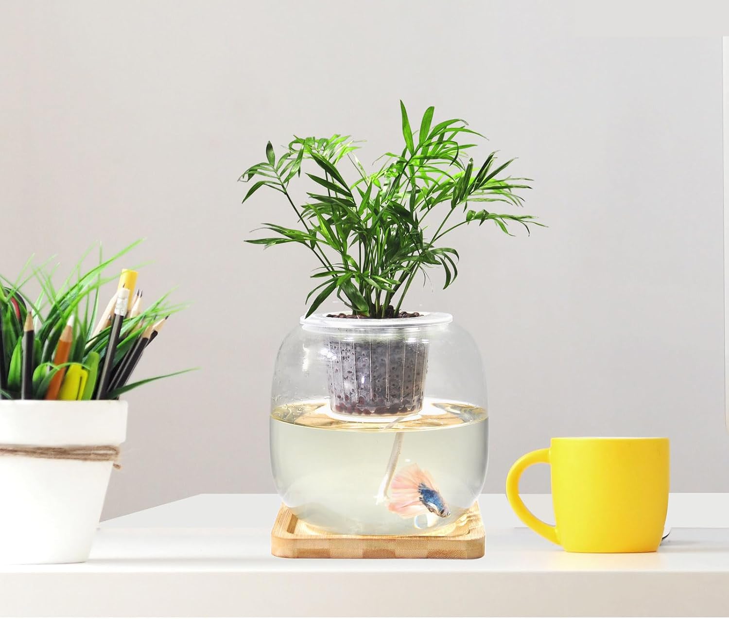Betta Fish Bowl Glass Small Fish Tank with Bamboo Stand, Plant Propagation Station Hydroponic Terrarium with Lid beta