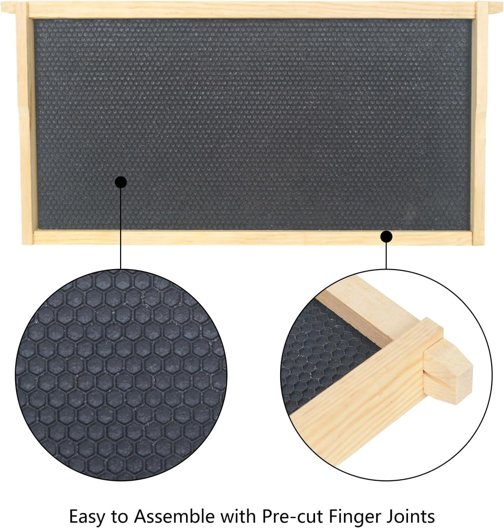 BeeTech 10-Pack Deep Brood Box Wooden Beehive Frames and 100% Beeswax Dipped Plastic Foundations for Beekeeping