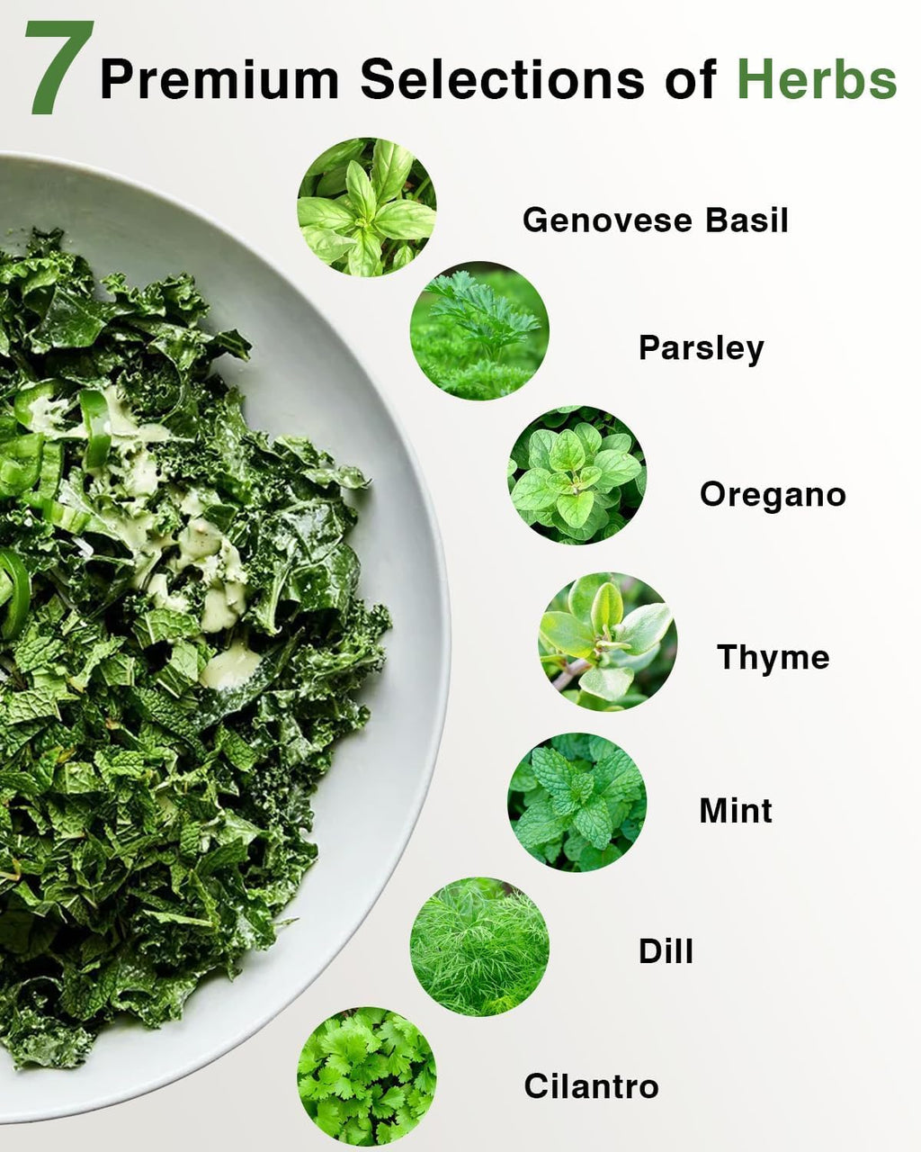 Gourmet Herb Seed Pod Kit for AeroGarden, idoo, Ahopegarden, MUFGA with Basil, Parsley, Thyme, Mint, Cilantro, Dill