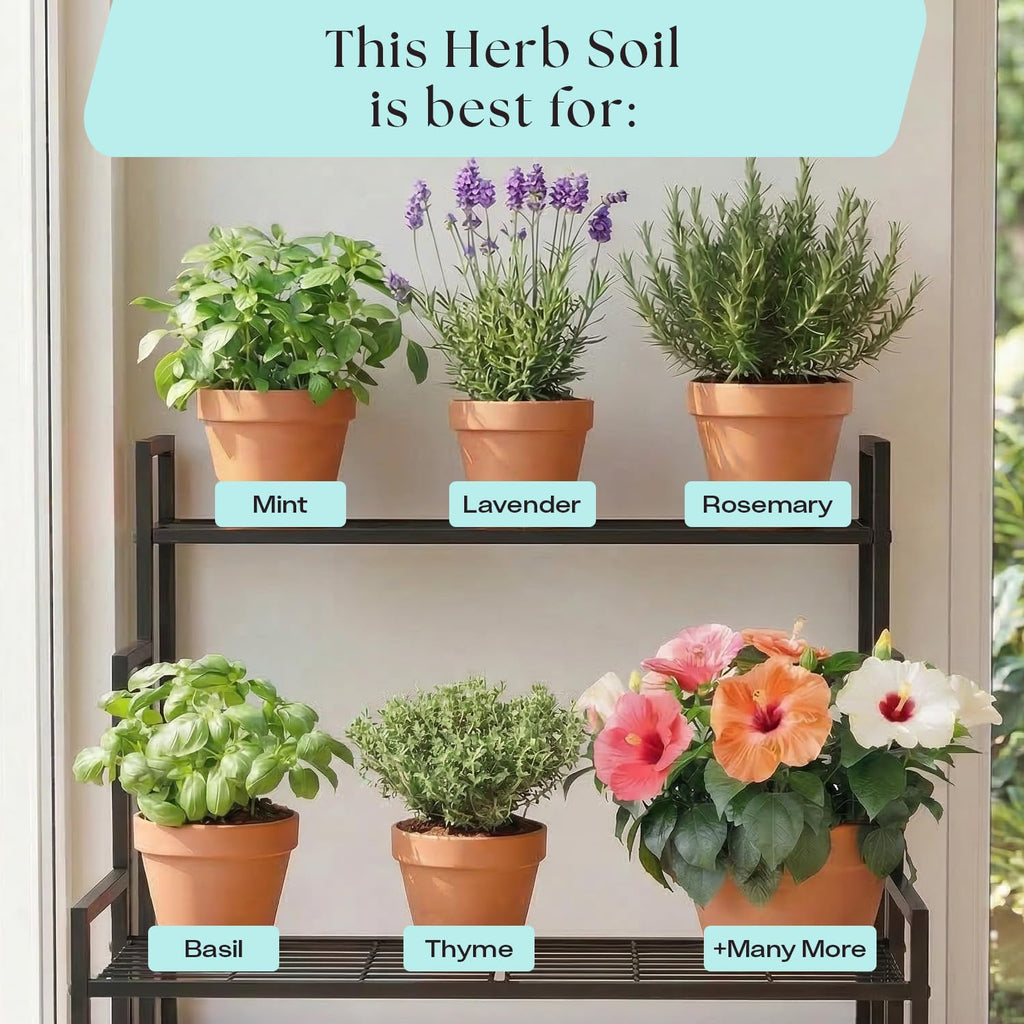 Rosy Soil Herb Mix, Organic Indoor and Outdoor Herb Potting Soil, 4 Quarts | Biochar, Worm Castings, Mycorrhizae Blend