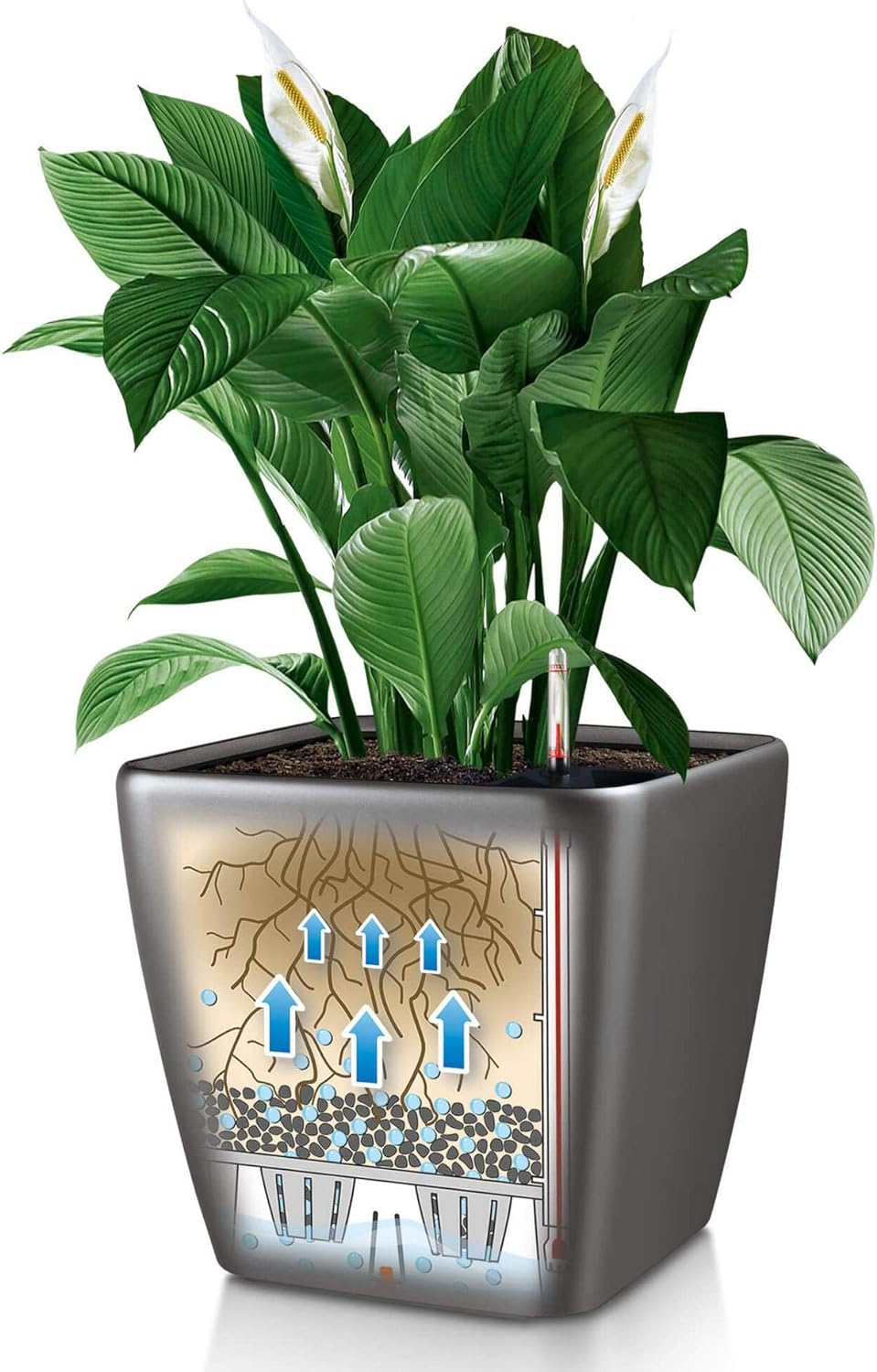 Lechuza Quadro LS 35 Cream White High Gloss, Self-Watering Square Planter, H13 L13.8 W13.8 in