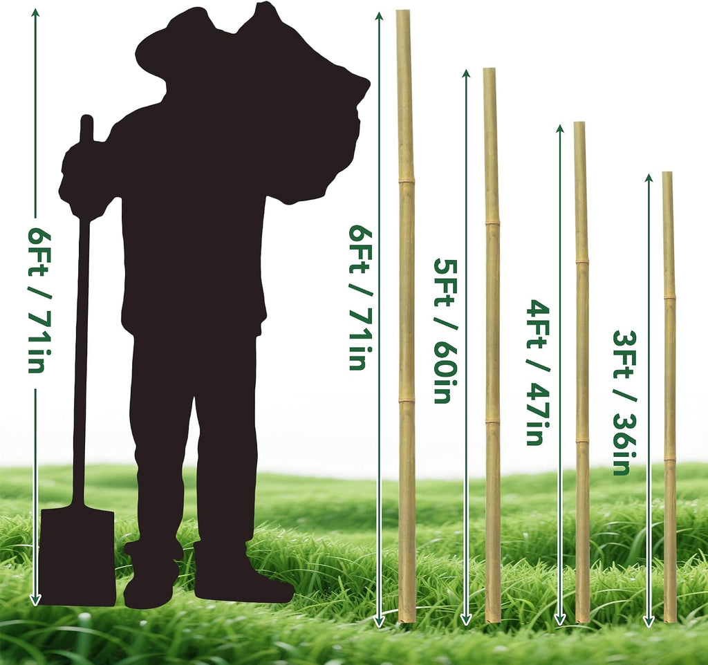 65 Pcs Bamboo Plant Stakes 4 Feet, Oltara Natural Bamboo Sticks Garden Stakes for Climbing Plants Support, Bamboo